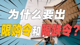 95后創過業的大廠產品經理 互聯網銷售、市場與運營深度解析——收割Offer必看行業干貨